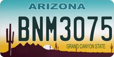 AZ license plate BNM3075