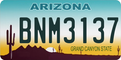 AZ license plate BNM3137