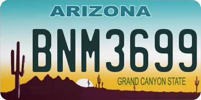 AZ license plate BNM3699