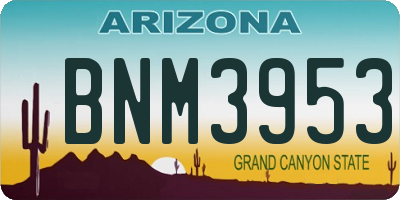 AZ license plate BNM3953