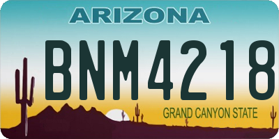AZ license plate BNM4218