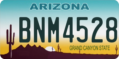 AZ license plate BNM4528