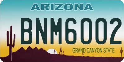 AZ license plate BNM6002