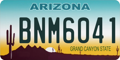 AZ license plate BNM6041