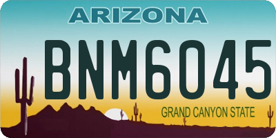 AZ license plate BNM6045