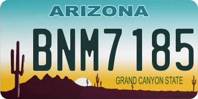 AZ license plate BNM7185