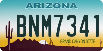 AZ license plate BNM7341