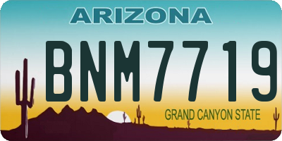 AZ license plate BNM7719