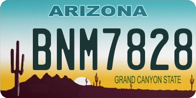 AZ license plate BNM7828