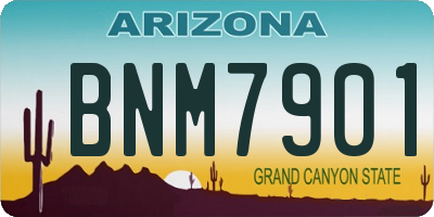 AZ license plate BNM7901