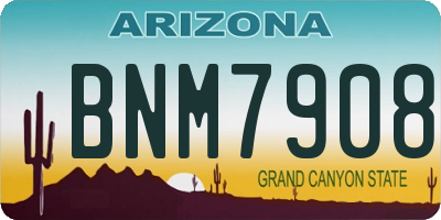 AZ license plate BNM7908