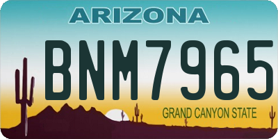 AZ license plate BNM7965