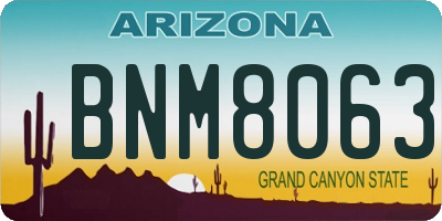 AZ license plate BNM8063
