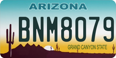 AZ license plate BNM8079