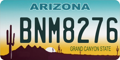 AZ license plate BNM8276