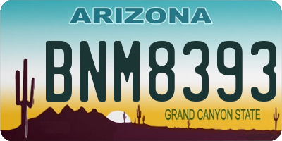 AZ license plate BNM8393