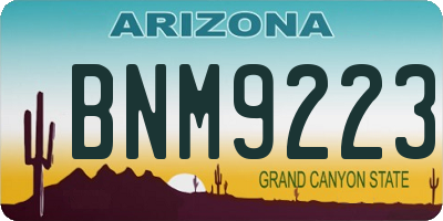 AZ license plate BNM9223