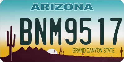 AZ license plate BNM9517