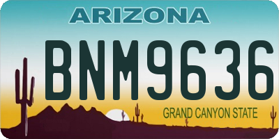 AZ license plate BNM9636