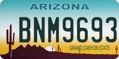 AZ license plate BNM9693