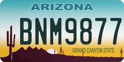 AZ license plate BNM9877
