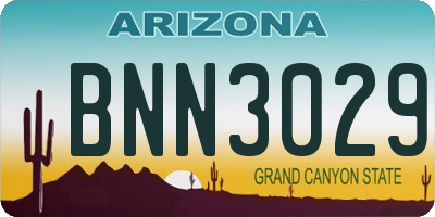 AZ license plate BNN3029