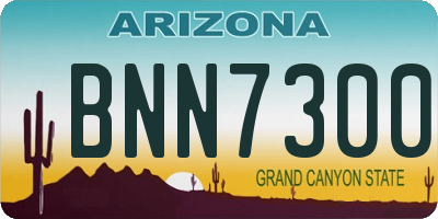 AZ license plate BNN7300