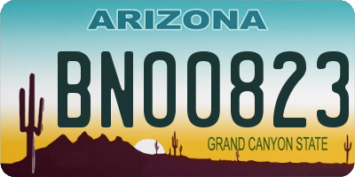AZ license plate BNO0823