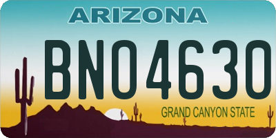 AZ license plate BNO4630