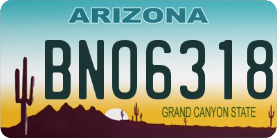 AZ license plate BNO6318
