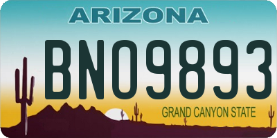 AZ license plate BNO9893