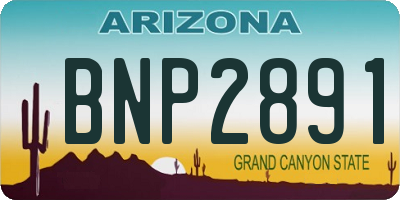 AZ license plate BNP2891