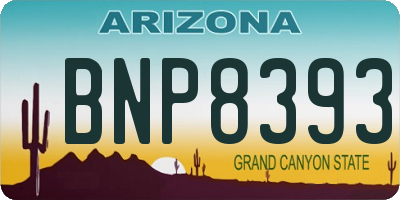 AZ license plate BNP8393
