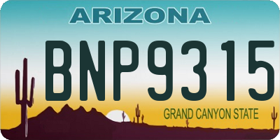 AZ license plate BNP9315