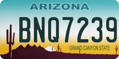 AZ license plate BNQ7239