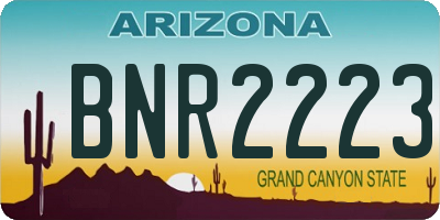 AZ license plate BNR2223