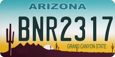 AZ license plate BNR2317