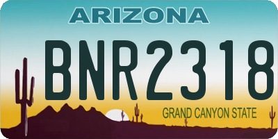 AZ license plate BNR2318