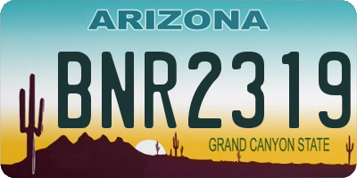 AZ license plate BNR2319