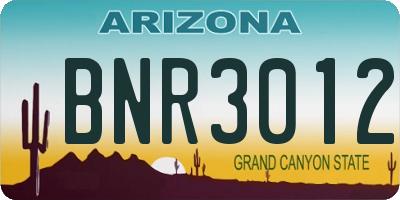 AZ license plate BNR3012