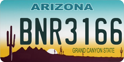 AZ license plate BNR3166
