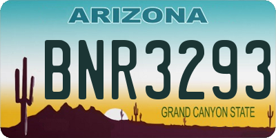AZ license plate BNR3293