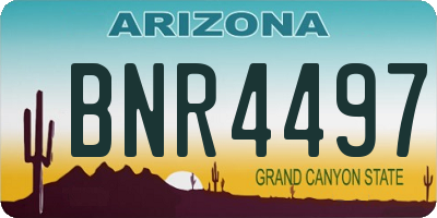 AZ license plate BNR4497