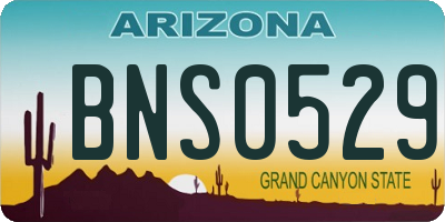 AZ license plate BNS0529
