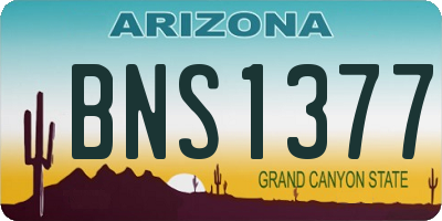 AZ license plate BNS1377