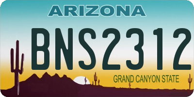 AZ license plate BNS2312