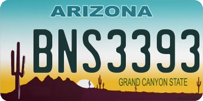 AZ license plate BNS3393
