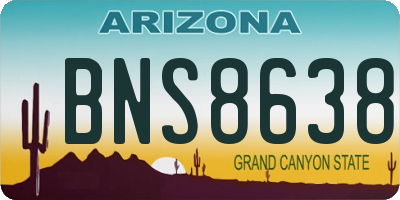 AZ license plate BNS8638