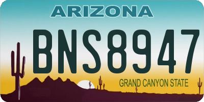 AZ license plate BNS8947