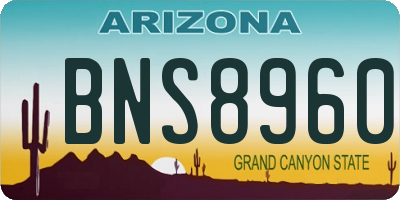 AZ license plate BNS8960